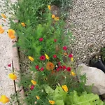 公寓 De Plain-pied Confort Carla-Bayle