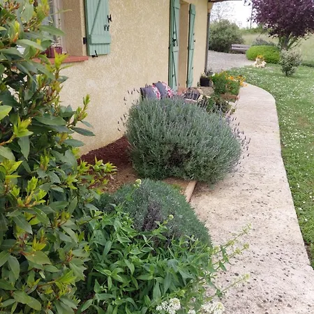 De Plain-pied Confort