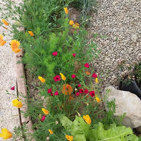 Lägenhet De Plain-pied Confort Carla-Bayle