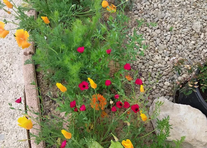 Apartmán De Plain-pied Confort Carla-Bayle